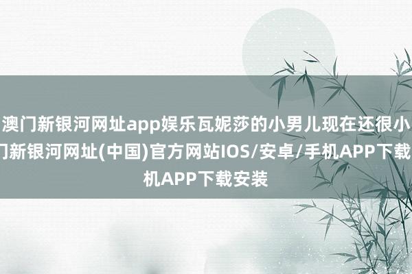 澳门新银河网址app娱乐瓦妮莎的小男儿现在还很小-澳门新银河网址(中国)官方网站IOS/安卓/手机APP下载安装