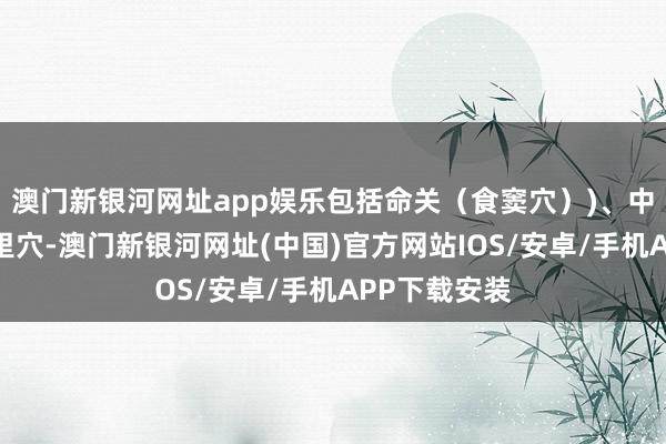 澳门新银河网址app娱乐包括命关（食窦穴）)、中脘穴、足三里穴-澳门新银河网址(中国)官方网站IOS/安卓/手机APP下载安装