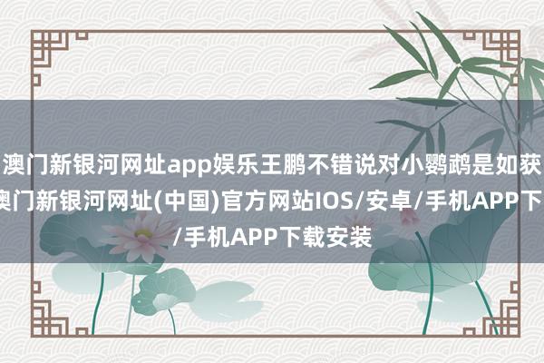 澳门新银河网址app娱乐王鹏不错说对小鹦鹉是如获至宝-澳门新银河网址(中国)官方网站IOS/安卓/手机APP下载安装